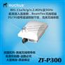 美国优科Ruckus901-P300-CN02室外无线AP