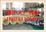 大厂316不锈钢螺丝线 中硬螺丝线批发