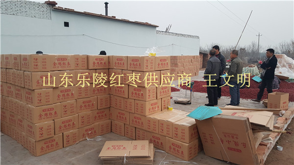 近期山东大枣产地价格大降价  山东大枣厂家  山东大枣批发  金丝小枣产地