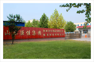 山东依派卫生用品有限公司