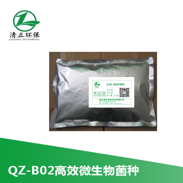 高效微生物菌种  COD降解  去除氨氮