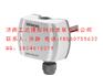 QAE2174.010,浸入式温度传感器