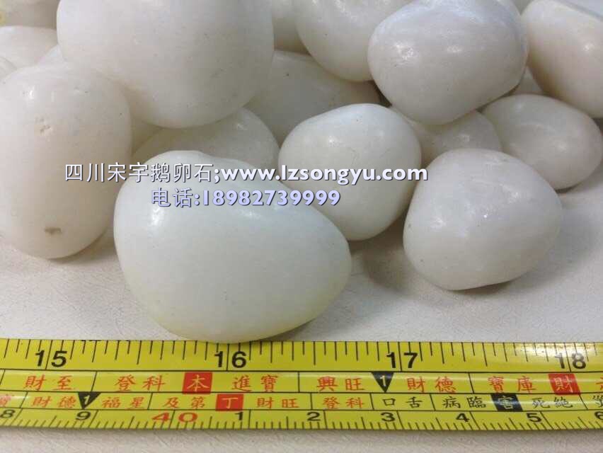自贡市污水鹅卵石生产厂家  变压器鹅卵石  白色鹅卵石