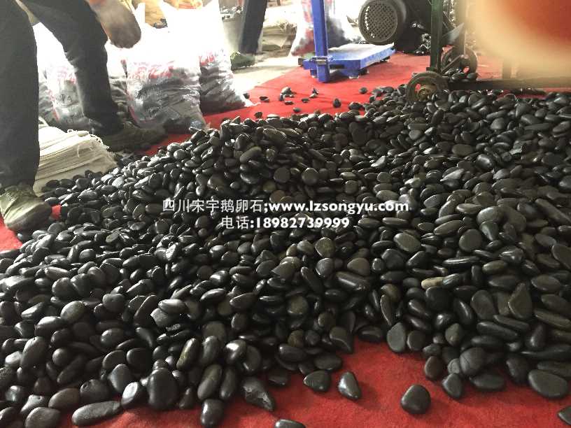 德阳白色雨花石生产厂家  鹅卵石  鹅卵石石头