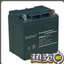 雷斯顿蓄电池6FM-100 雷斯顿蓄电池12V100AH