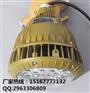led防爆吊灯30w,led防爆投光灯20w