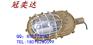 森本SBD1101-YQL50(D型）免维护节能防爆灯40W