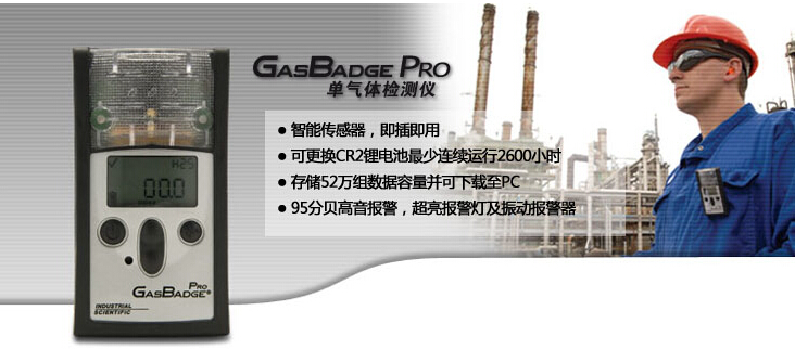 GB Pro 单气体检测仪&nbsp;&nbsp;英思科