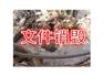 昆山公司内部资料销毁，花桥废弃账单销毁，昆山纸质文件销毁平台
