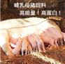 仔猪要想少生病吃什么饲料好？