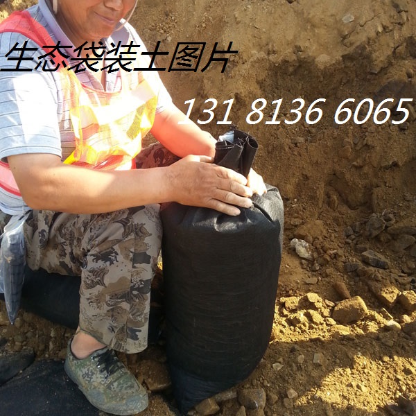 人工水库护坡生态袋,人工湖边坡绿化生态袋 边坡防护生态袋 边坡修复生态袋 植草护坡生态袋