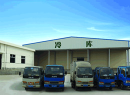 宁波市江东元宝制冷设备工程有限公司