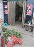 韩城花椒苗 韩城大红袍 无刺花椒苗