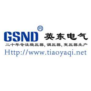 广州市英东电气有限公司