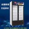 成云LG-818LD双门直冷展示柜
