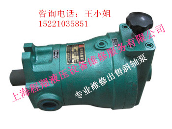 斜轴式柱塞泵专业销售 斜轴泵 液压泵维修