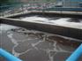 石家庄 化肥废水处理方案 含油污水处理设备