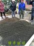 山东绿华厂家供应LH-280螺旋挤压式专业鸭粪干湿分离机