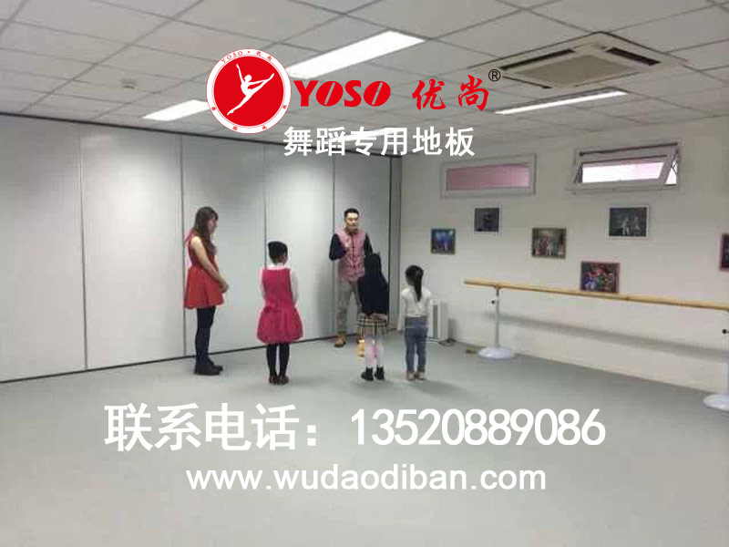 歌舞团地垫批发,舞蹈学院地垫批发,歌舞剧院地板胶公司