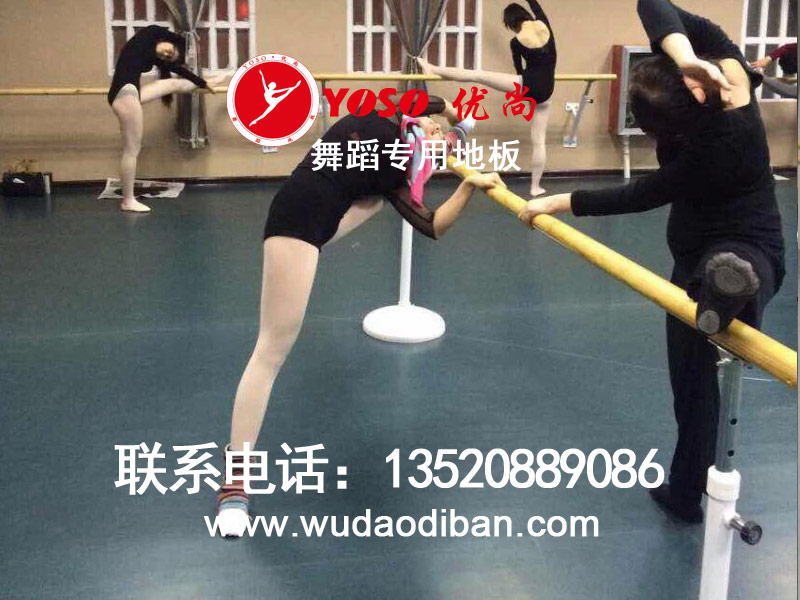 歌舞团地垫批发,舞蹈学院地垫批发,歌舞剧院地板胶公司