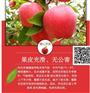 舟山干鲜果品在哪买