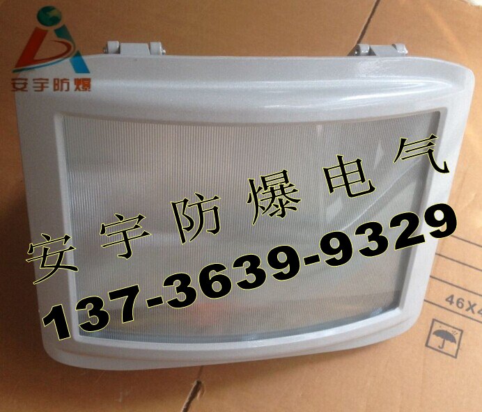 NSC9720-70/NSC9720-100防眩节能泛光灯 防水防尘防眩灯 70W应急泛光灯 防水防眩节能灯