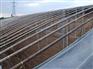 想建日光温室就到三元朱农业科技 专业设计日光温室