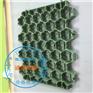 绿化专用植草格生产基地|广州仪征植草格厂家现货出售