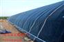 什么是日光温室 日光温室的好处 通达建造日光温室 蔬菜温室
