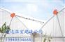 通达供应温室建设 价格合理的简易拱棚建造 香菇大棚