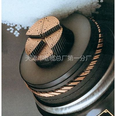 仪表信号电缆DJYP3V