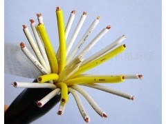 煤矿用电话电缆MHYA32-50*2*0.8