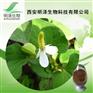 鱼腥草提取物西安植提工厂