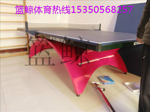 大彩虹乒乓球台生产厂家室内高档乒乓球桌价格