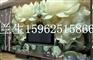 2016年瓷砖背景墙印花机cfd1000成峰德厂家报价