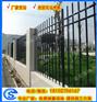 广东清远服务区围栏-镀锌钢围墙防护栏-服务区护栏安装