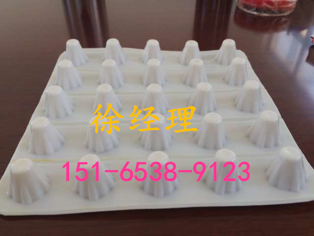 三亚蓄排水板厂家，欲购从速