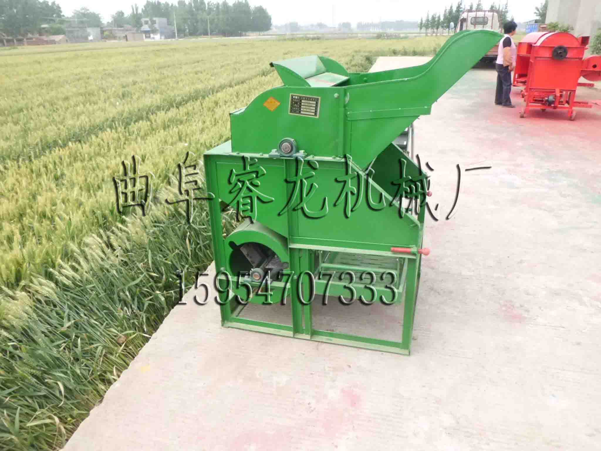睿龙牌全自动花生摘国机 花生果秧分离机批发 摘果机设备型号 摘果机设备厂家 自动上料摘果机