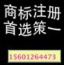 保定查询商标怎样申请商标钢琴键商标注册