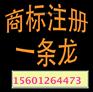 荆门品牌设计义乌商标申请金属绳索补商标证