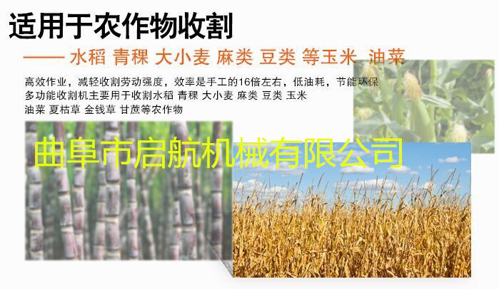 张家口 牧草收割机 小型割草机  割草机价格  割草机图片  割草机厂家