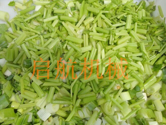 郴州 土豆萝卜切菜机  厂家直销蔬菜加工&nbsp;&nbsp;切菜机直销&nbsp;&nbsp;切菜机价格&nbsp;&nbsp;切菜机参数