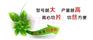 自贡 蘑菇切片机 蔬菜切片机