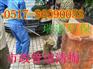 建德清理隔油池清理化粪池