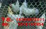 聊城养鸡围栏网塑料耐腐%日照HDPE护栏网%荒坡围栏养殖网
