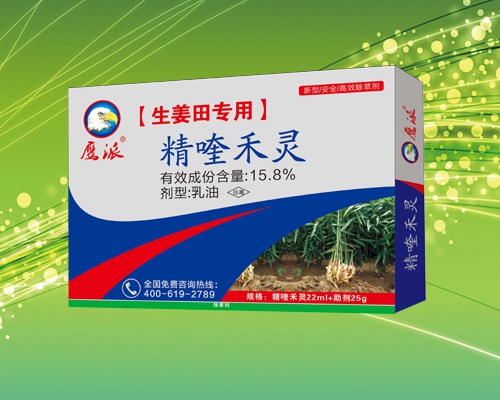 生姜田精喹禾灵专用除草剂