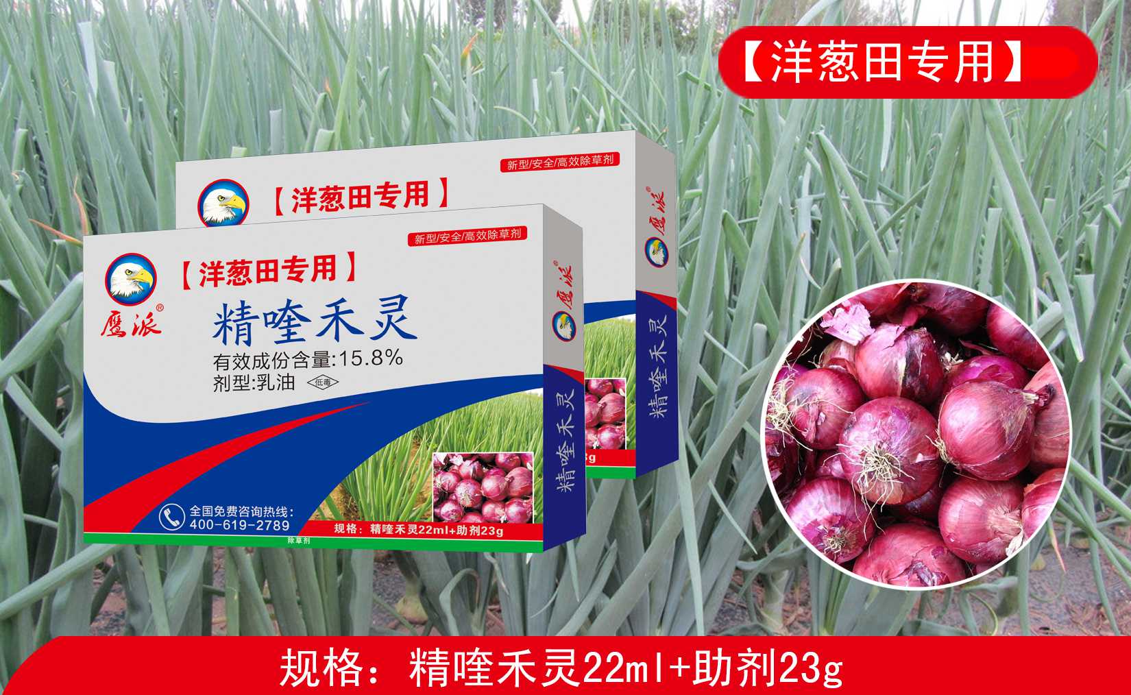 洋葱苗专用除草剂精喹禾灵批发