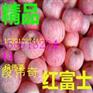 陕西大荔县膜袋红富士苹果销售行情