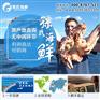 日照海鲜批发市场孙氏海鲜找对批发商省钱赚好评