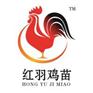 山东红玉鸡苗孵化厂专用标识